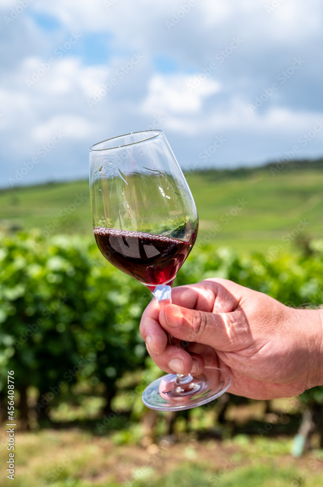 Tasting of burgundy red wine from grand cru pinot noir  vineyards, hand with glass of wine and view on green vineyards in Burgundy Cote de Nuits wine region, France