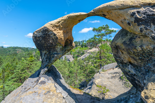 Unique sandstone arch in pine forest on dry sunny summer day. Bohemian Paradise, Czech Republic photo