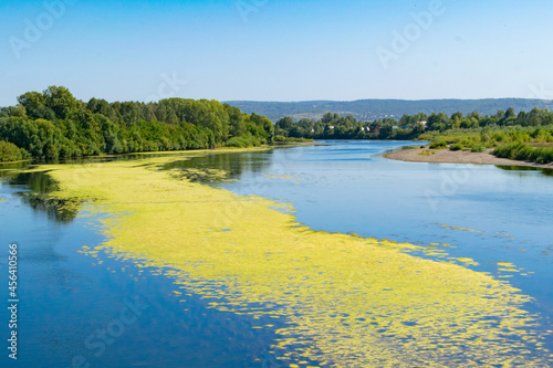 Beautiful landscape of the river with blooming yellow algae.