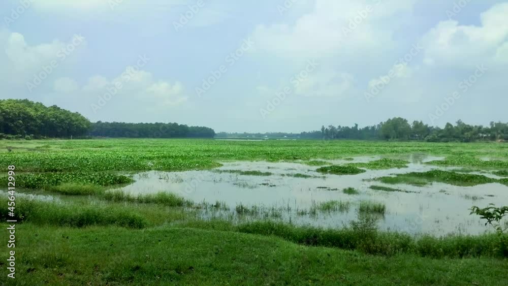 Natural landscape view of a lake in bangladesh.Beauty of Nature Natural landscape view of a lake in bangladesh.Beauty of Nature