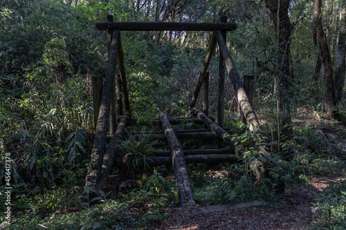 Ponte de madeira deteriorada pelo tempo na mata