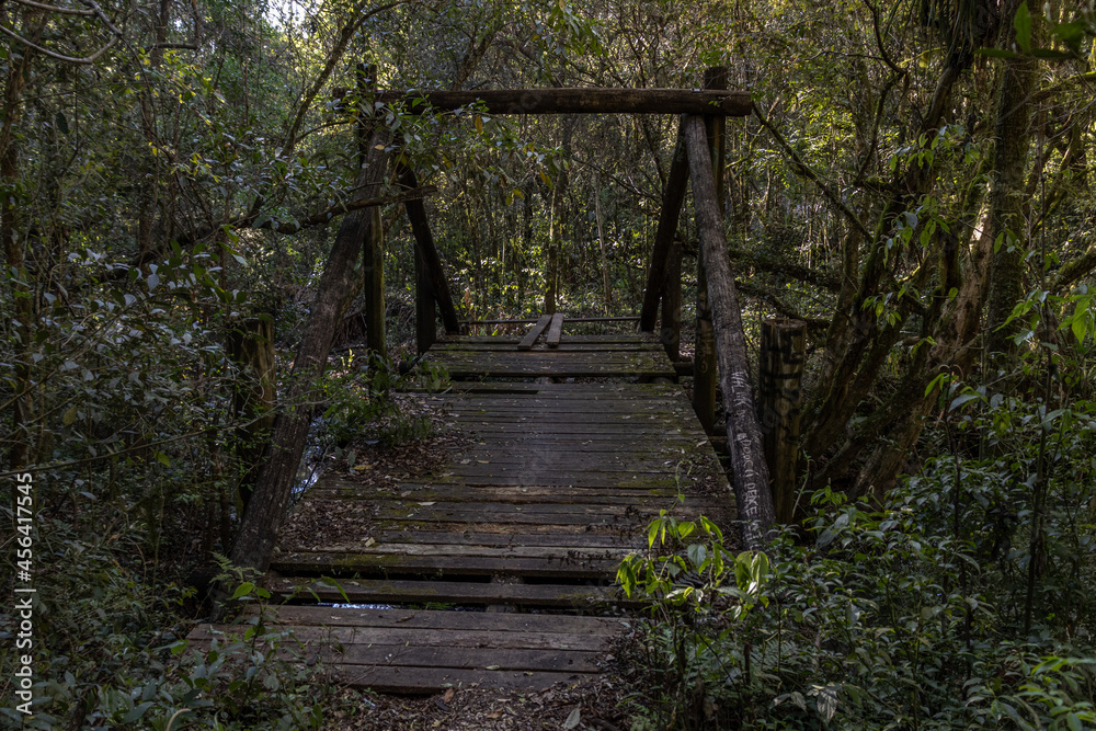 Ponte de madeira deteriorada pelo tempo na mata