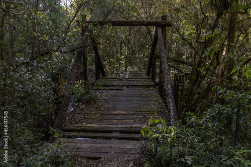 Ponte de madeira deteriorada pelo tempo na mata