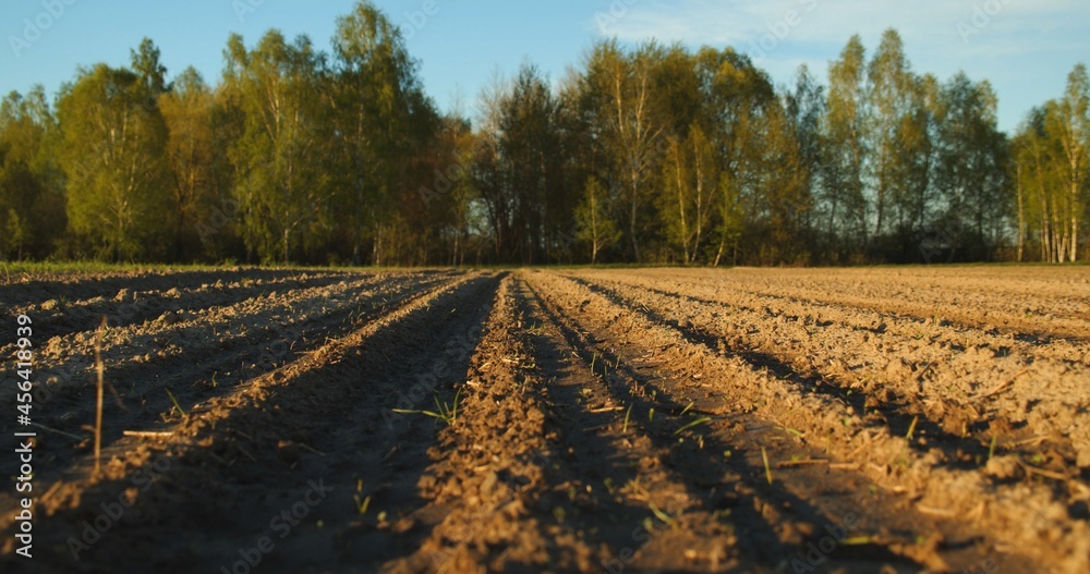 Closeup soil, on a green trees background in spring.  Camera moves close to the ground in a plowed farm field. Agriculture business concept. Low angle. Slow motion.