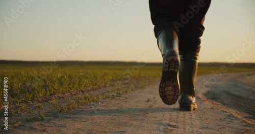 AGRICULTURE. Man farmer in rubber boots walks along a country road near a green field of wheat grass. Concept of agricultural business.