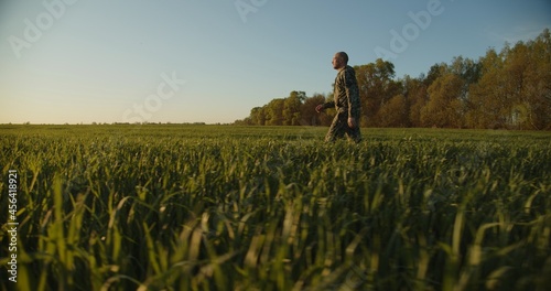 Farmer walks through a young green field during sunset. Adult man farmer walking and checks  his agriculture field. Human walking on agriculture field.   Person walks on high green grass