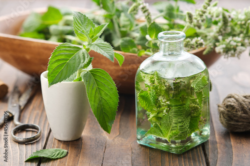 Bottle of infusion or oil made from mint leaves and blossom peppermint. Mortar of fresh spearmint leaves. Wooden bowl of Mentha piperita medinal plants on background.