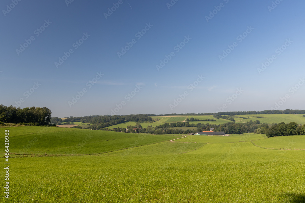 Fototapeta premium Wide view of flowing grassland