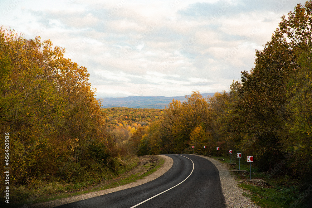 Fototapeta premium road in autumn forest