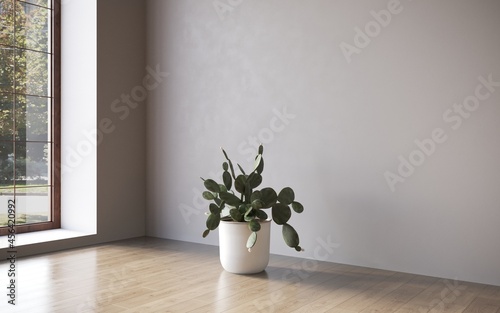 Fototapeta Naklejka Na Ścianę i Meble -  Empty room white walls with beautiful plants sideways on the floor. 3d rendering 
