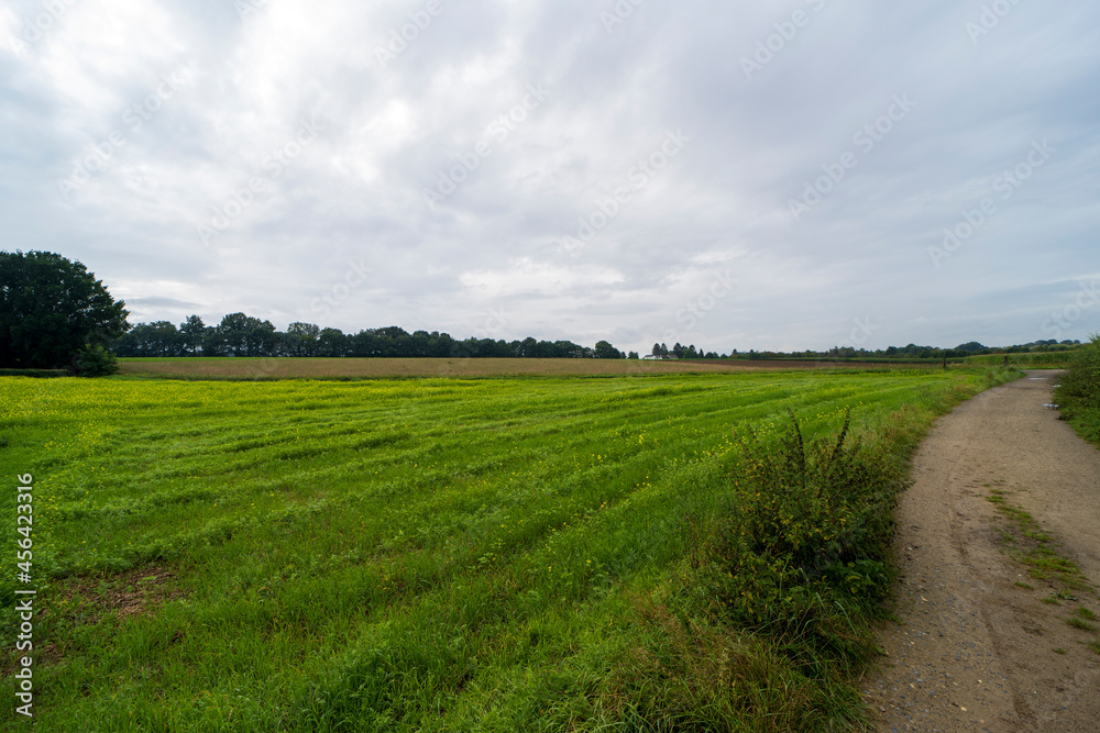 Agricultural fields outside Maastricht, The Netherlands