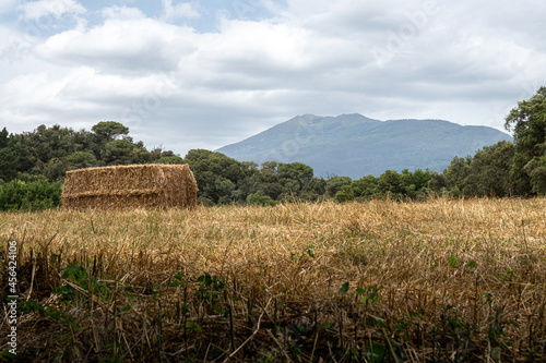 Campo con balas de paja