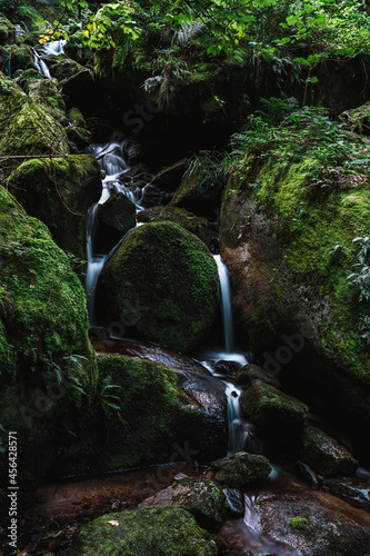 gertelbach bwaterfalls of the black forest (Schwarzwald), Baden-Wuerttemberg, Germany photo