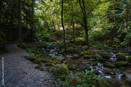 path to the geroldsau waterfalls of the black forest  Schwarzwald   Baden-Wuerttemberg  Germany