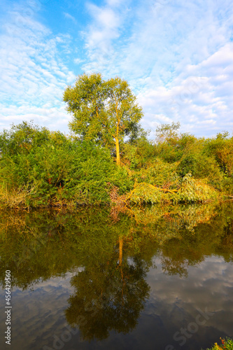 Forest river on a clear summer day with a bright blue sky and clouds. Trees are reflected in the water. The beauty of the native land.