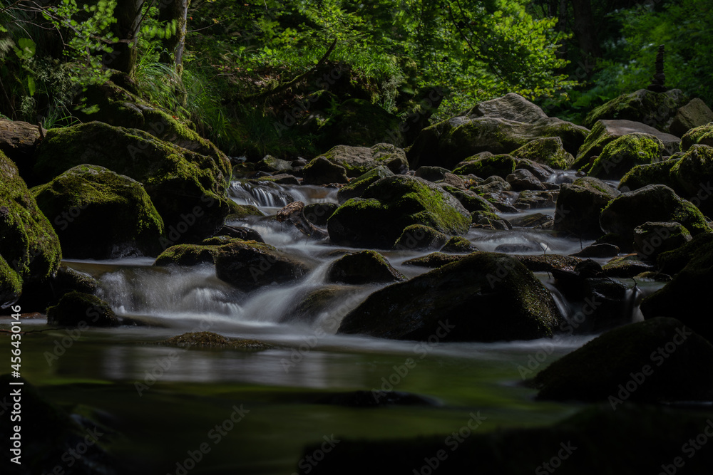 Fototapeta premium ravenna canyon in the black forest (Schwarzwald), Baden-Wuerttemberg, Germany
