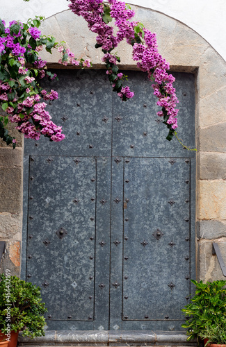 Flores de bungavilla colgando por delante de una puerta metálica photo