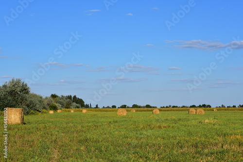 Huge bales of straw on the field in autumn, harvesting in Ukraine