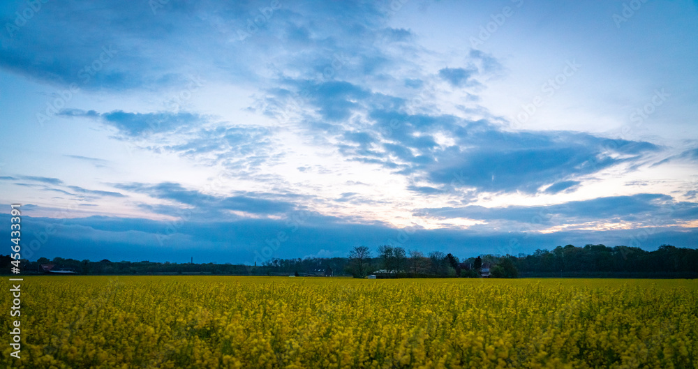 Obraz premium Field sky