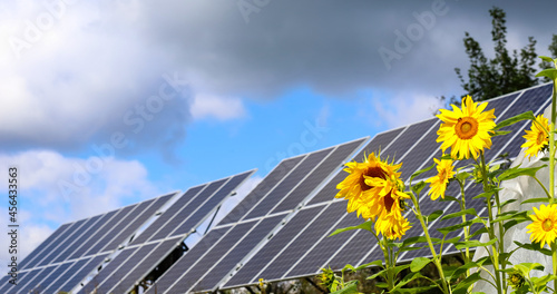 Sunflowers  solar panels Bright yellow sunflower flowers on the background of a solar power plant. Blue sky  white with gray clouds. The concept of harmony of technology and nature.