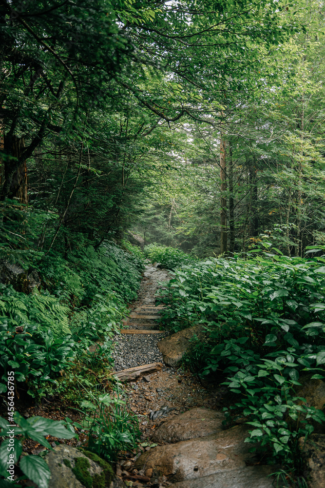 Fototapeta premium Great Smoky Mountains National Park