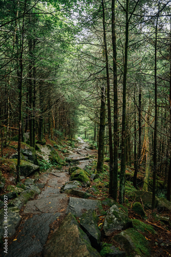 Great Smoky Mountains National Park Great Smoky Mountains National Park
