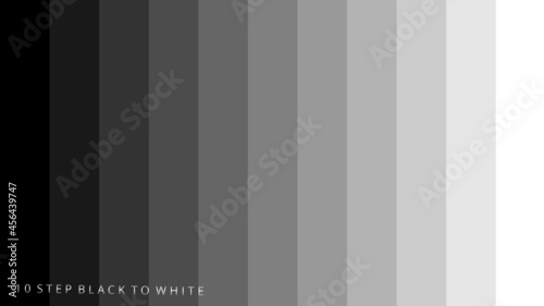 A signal background of a 10 Step Black to White testing.
