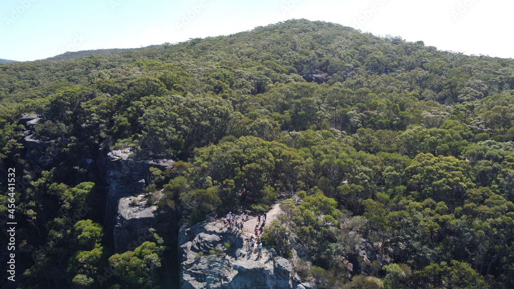Fototapeta premium landscape with trees
