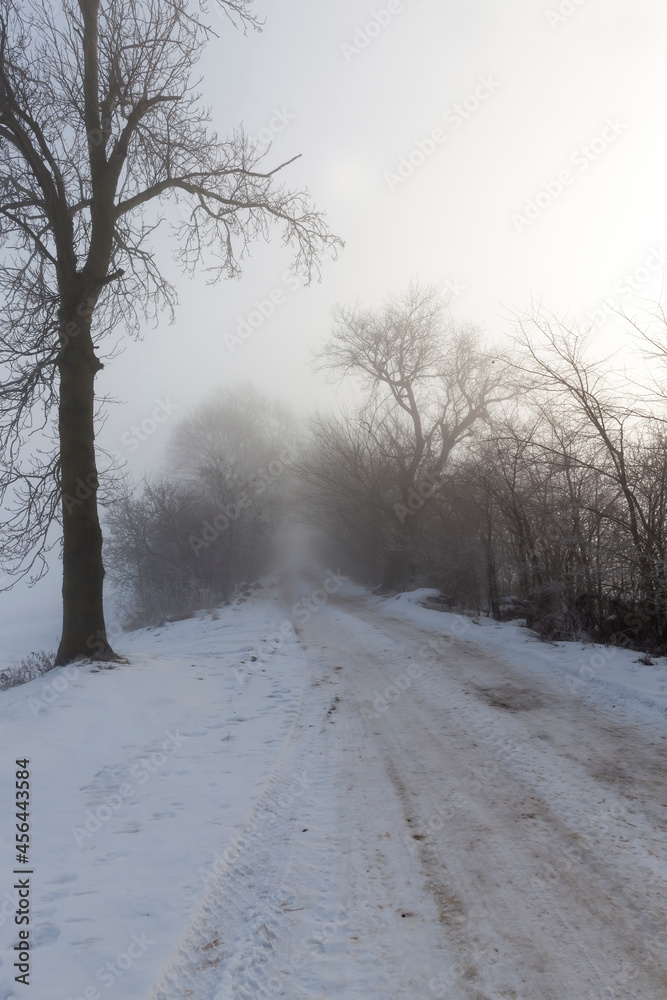 Fototapeta premium a road covered with snow in the winter season