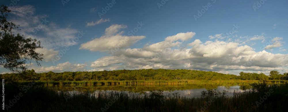 Panorama view of the lake in the forest in Pre Delta National Park. The reeds, trees and blue sky with clouds reflected in the water's surface. 