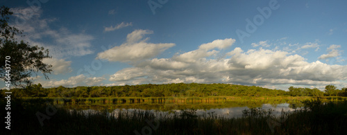 Panorama view of the lake in the forest in Pre Delta National Park. The reeds, trees and blue sky with clouds reflected in the water's surface.  © Gonzalo
