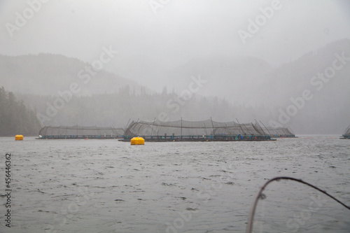 Open net-cage salmon farms are seen from a fishing boat in Quatsino Sound, near Winter Harbour, BC. Farmed fish produce waste, leech chemicals, spread disease and parasites and threaten wild species