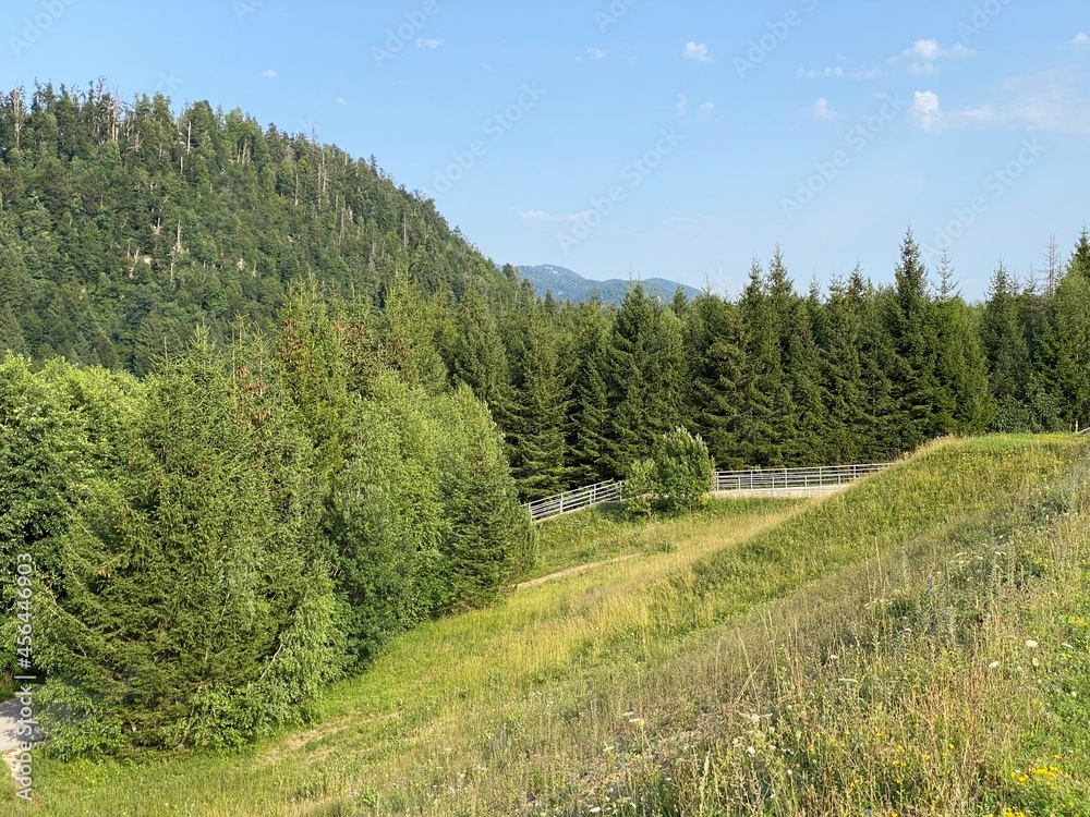 Fototapeta premium Park with meadows along Lake Lepenica and the surrounding mixed forest of Gorski kotar - Fuzine, Croatia (Park s livadama uz jezero Lepenica i okolnu mješovitu šumu Gorskog kotara - Fužine, Hrvatska)