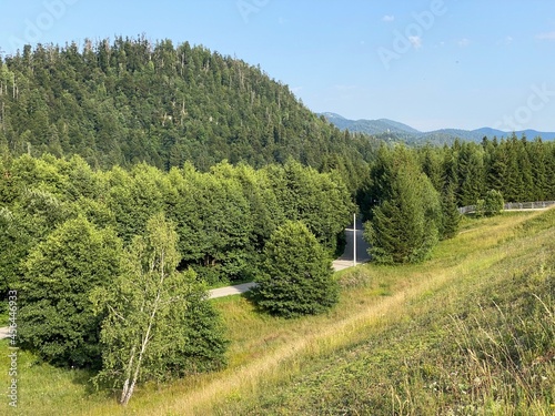 Park with meadows along Lake Lepenica and the surrounding mixed forest of Gorski kotar - Fuzine, Croatia (Park s livadama uz jezero Lepenica i okolnu mješovitu šumu Gorskog kotara - Fužine, Hrvatska) photo