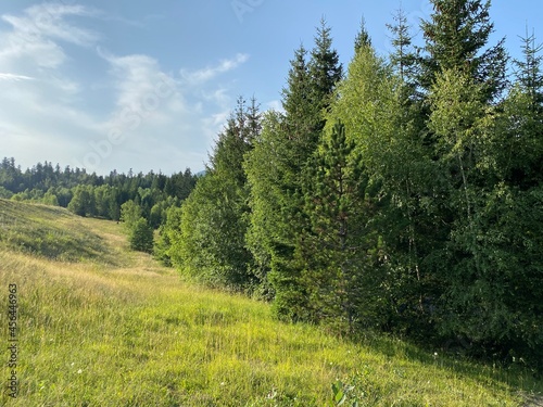 Park with meadows along Lake Lepenica and the surrounding mixed forest of Gorski kotar - Fuzine, Croatia (Park s livadama uz jezero Lepenica i okolnu mješovitu šumu Gorskog kotara - Fužine, Hrvatska)