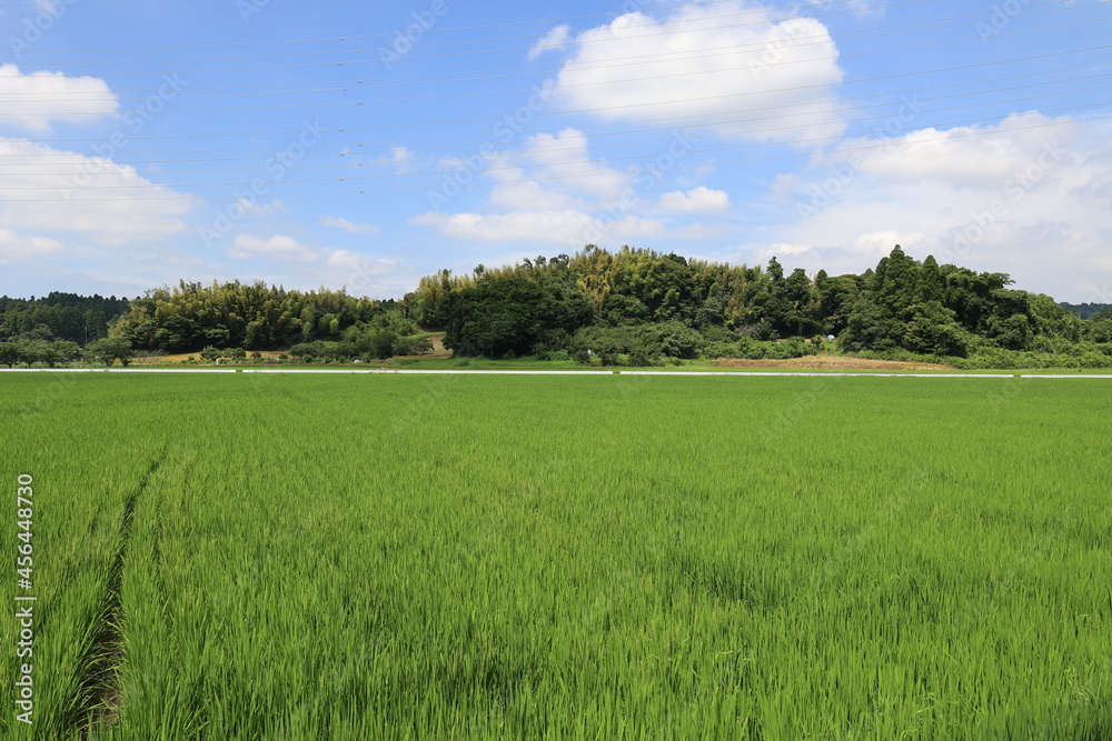 青空と田んぼ