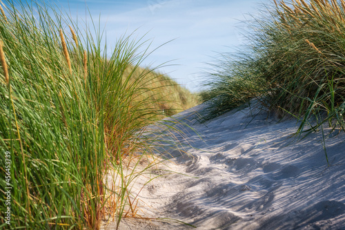 Strandaufgang in den Dünen an einem Strand an der Nordsee © Leinemeister
