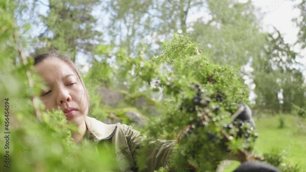 Asian female farmer standing and pruning the tree in a farm, woman farm worker in a farm, looking at the tree. working in a farm concept Asian female farmer standing and pruning the tree in a farm, woman farm worker in a farm, looking at the tree. working in a farm concept