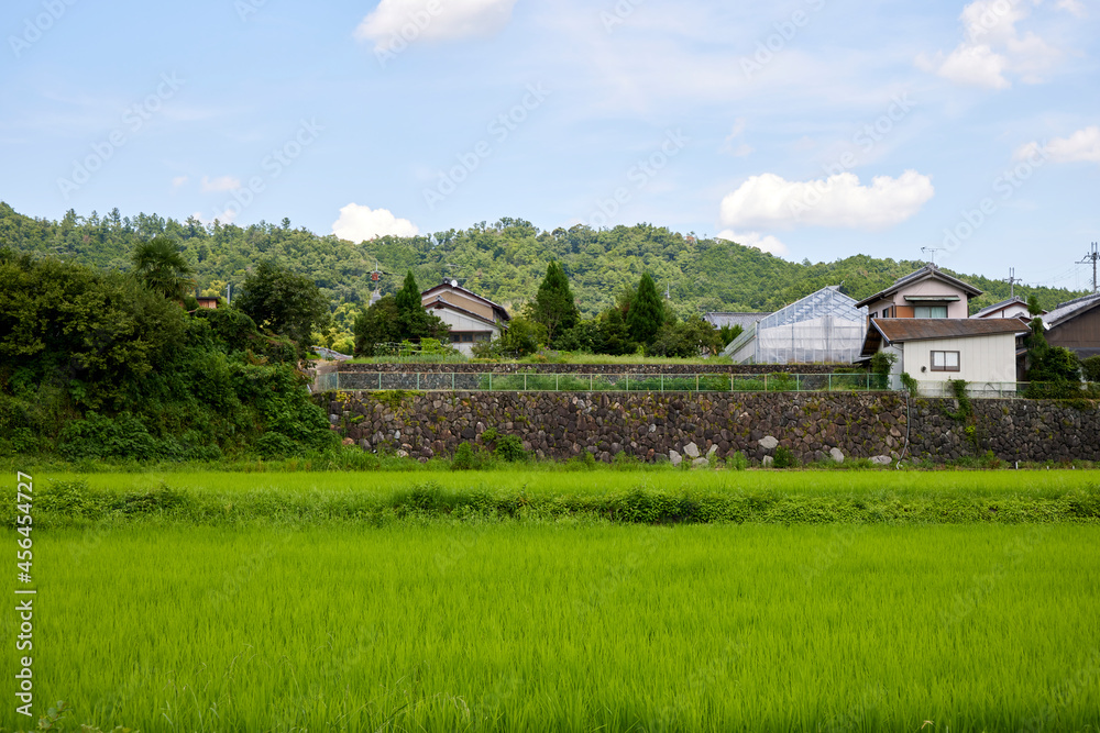 田舎の風景 田舎の風景