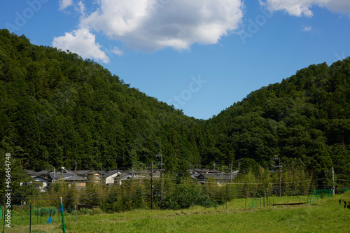 田舎の風景