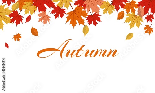 Vector illustration, fallen dry leaves, as autumn theme background and template.