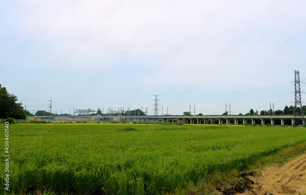 穏やかな田舎 稲作の秋 風景 穏やかな田舎 稲作の秋 風景