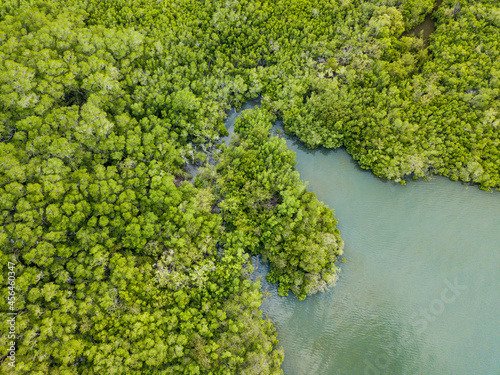 Brackish water estuaries and inlets dot the shoreline of Paquera Costa Rica as they are fed from the clear rich waters of the Gulf of Nicoya from an aerial drone view
