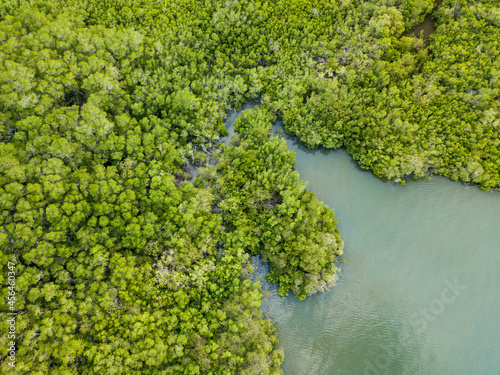 Fotografie Brackish water estuaries and inlets dot the shoreline of Paquera Costa Rica as t