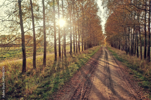 autumn road top view, landscape in autumn with drone