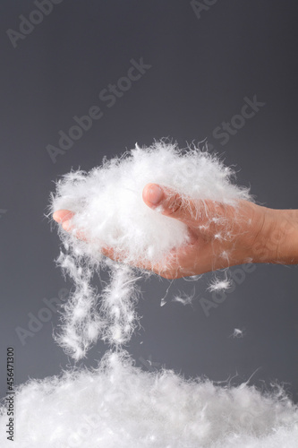 pick up white goose down feathers with one hand on dark background. photo