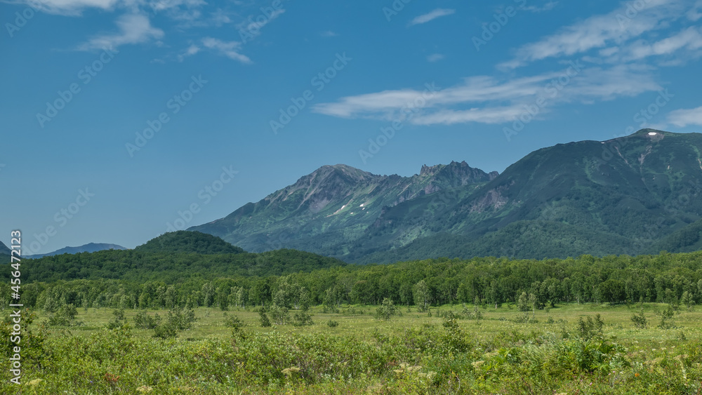 A picturesque mountain range against the blue sky. Deciduous forest at the base. In the foreground is a lush green meadow. A sunny summer day. Kamchatka.