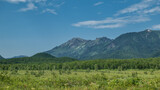 A picturesque mountain range against the blue sky. Deciduous forest at the base. In the foreground is a lush green meadow. A sunny summer day. Kamchatka.