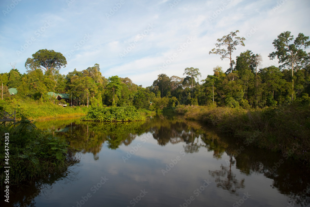 Maliau basin, rainforest in Borneo, Malaysia.