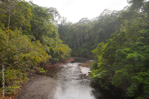 Maliau basin, rainforest in Borneo, Malaysia.